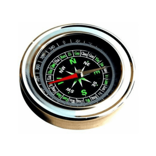 magnetic compass